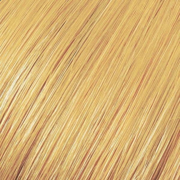 Maintenance Blonde Refresher Colour