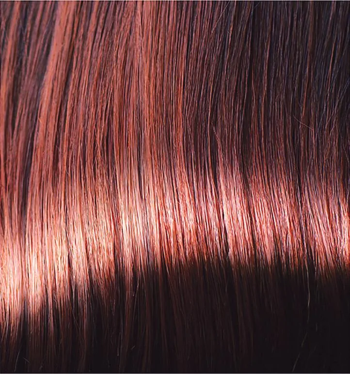 Chestnut Brown Refresher Colour Maintenance - Image 2